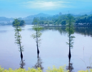 东莞风景11