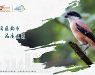 生态文明9