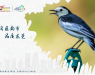 生态文明5