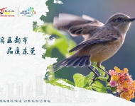 生态文明1