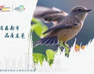 生态文明7