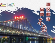 湾区都市8