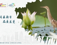 生态文明4