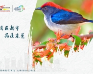 生态文明6