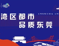 湾区都市 品质东莞2