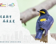 生态文明3