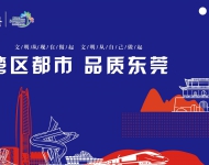 湾区都市 品质东莞6