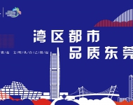 湾区都市 品质东莞8