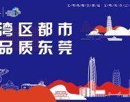 湾区都市 品质东莞1