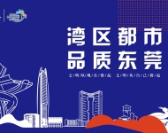 湾区都市 品质东莞7