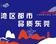 湾区都市 品质东莞3