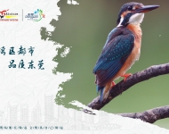 生态文明10