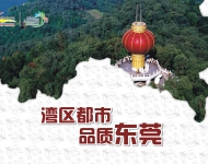 湾区都市3