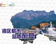 湾区都市7