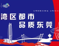 湾区都市 品质东莞4