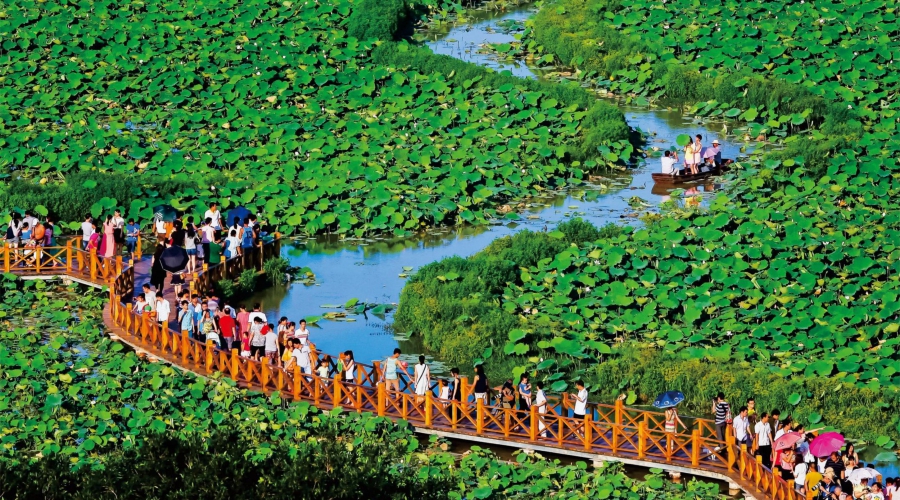 东莞风景1