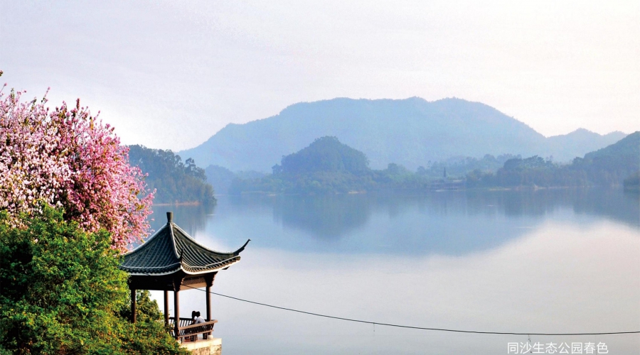 东莞风景17