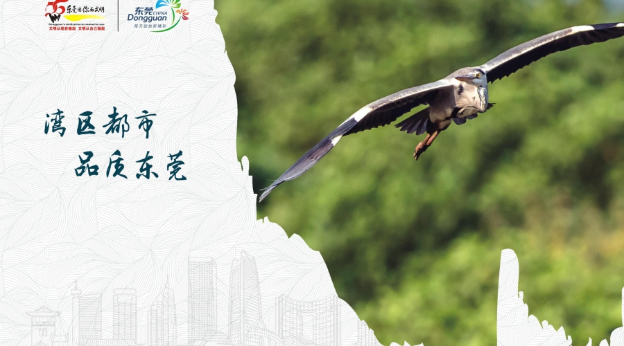 生态文明2