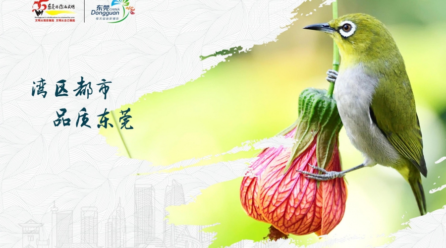生态文明8