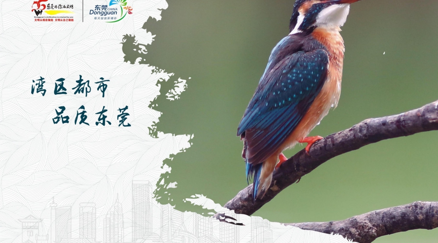 生态文明10